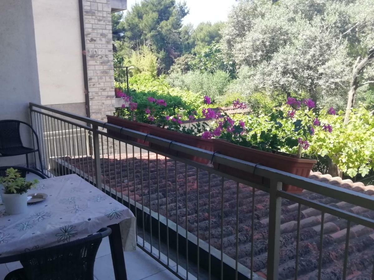 Apartments Jadranka Ivana Pula Exterior photo